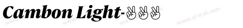 Cambon Light字体转换